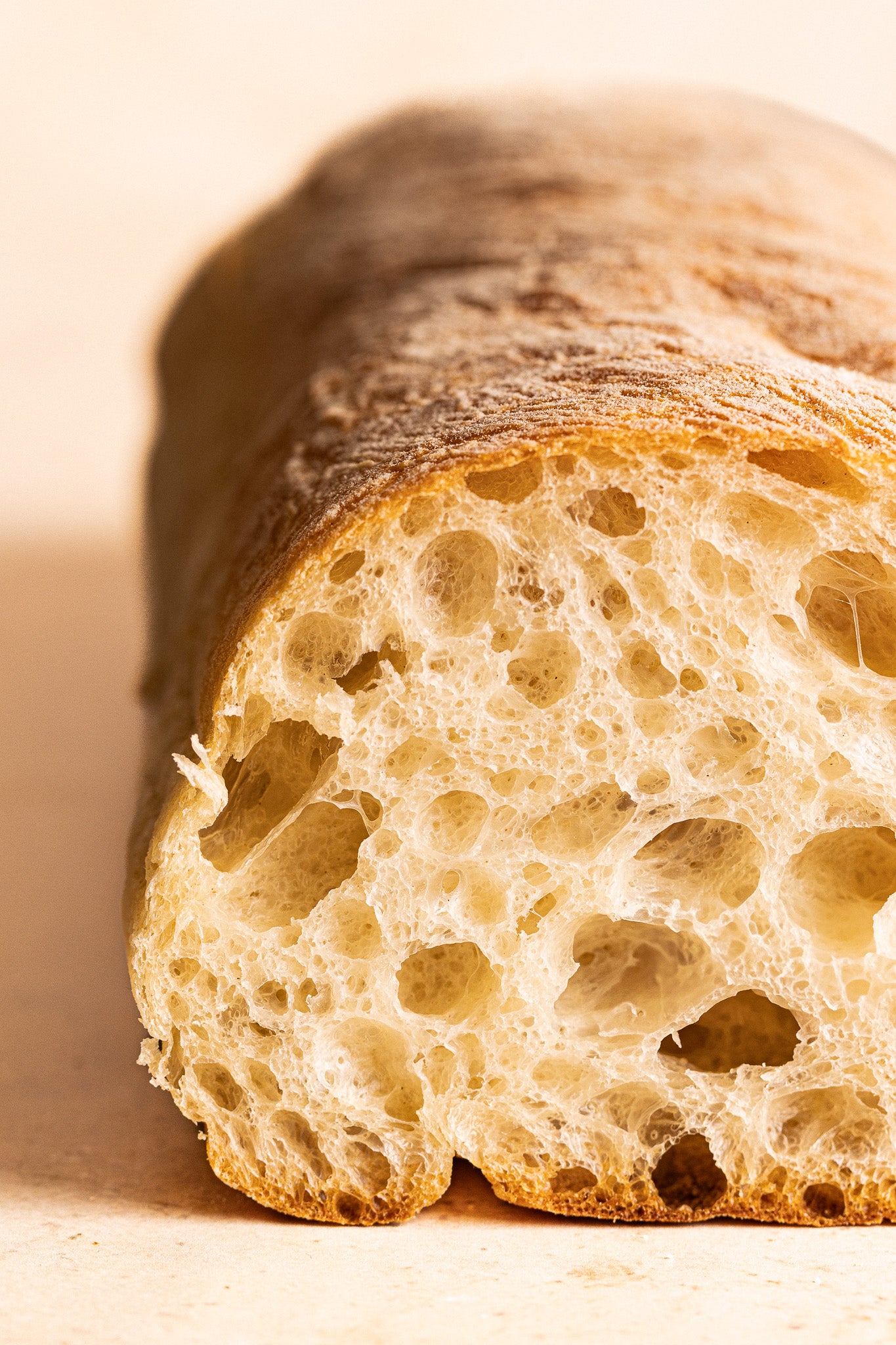 Sourdough Ciabatta