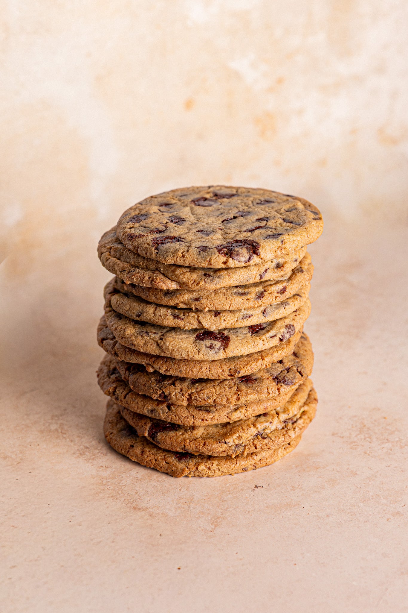Chocolate Chip Cookie Pucks / Box of 50