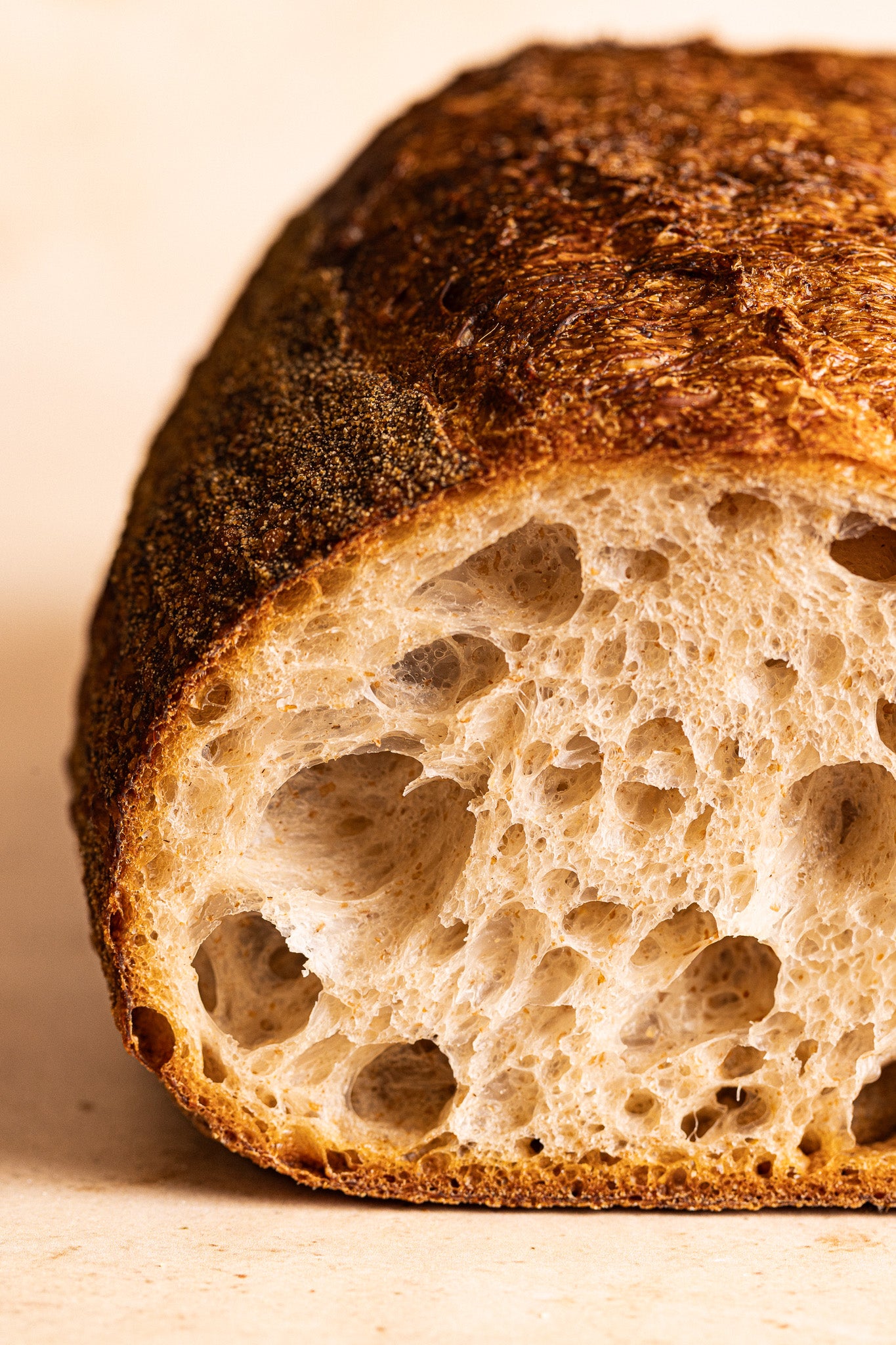 House Sourdough